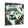 thumbnail image 2 of Snow Leopard Brilliance - Canvas, 2 of 10