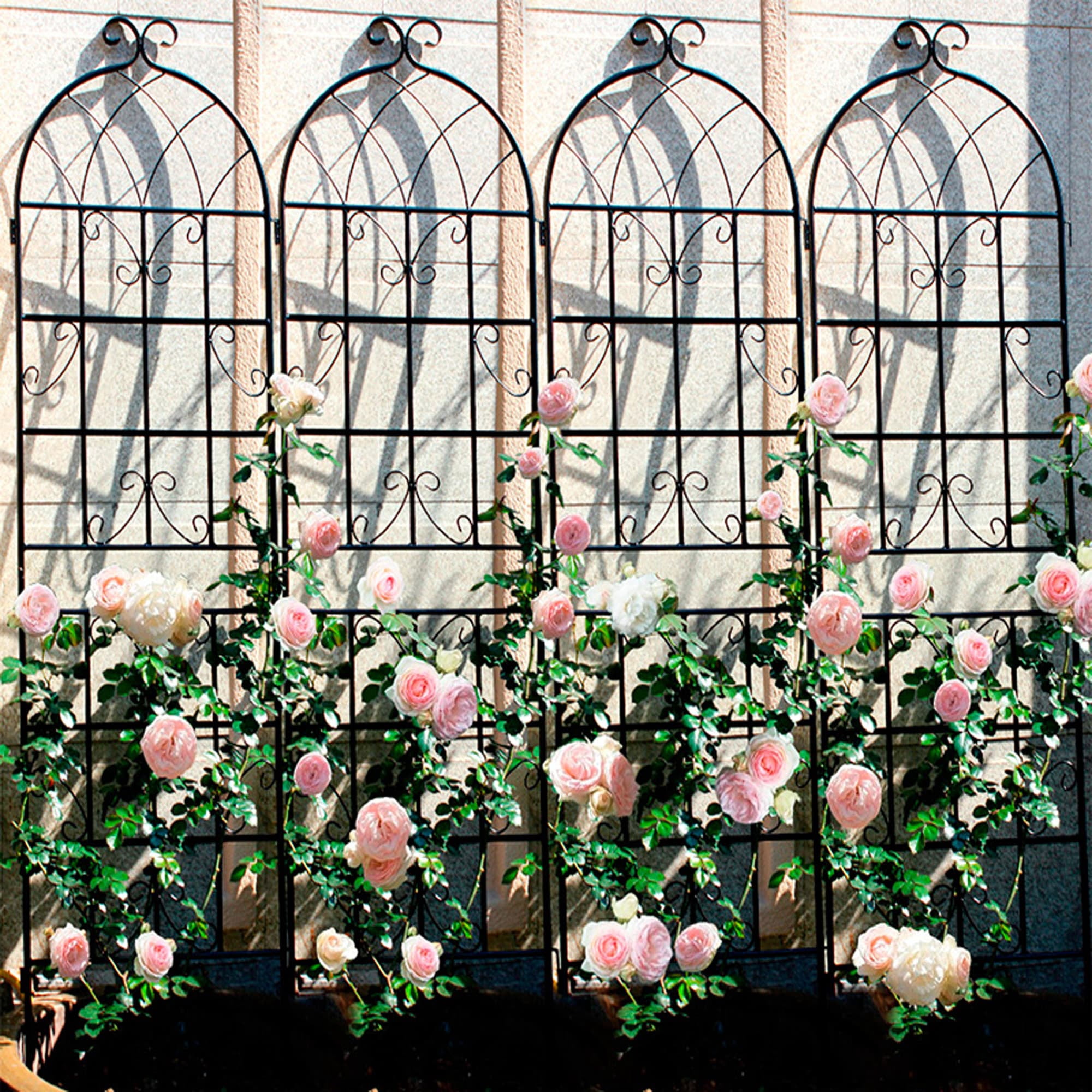 MAYEERTY 4 Pack Metal Garden Trellis 71 x 19.7 Inch Rustproof Climbing Plants Support Black Outdoor Flower