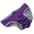thumbnail image 2 of Ropa Interior para Perros NikouMX Pantalones de Poliéster Estética Elegante, 2 of 8
