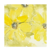 Trademark Fine Art 'Sunshine Cosmos II' Canvas Art by Chris Paschke