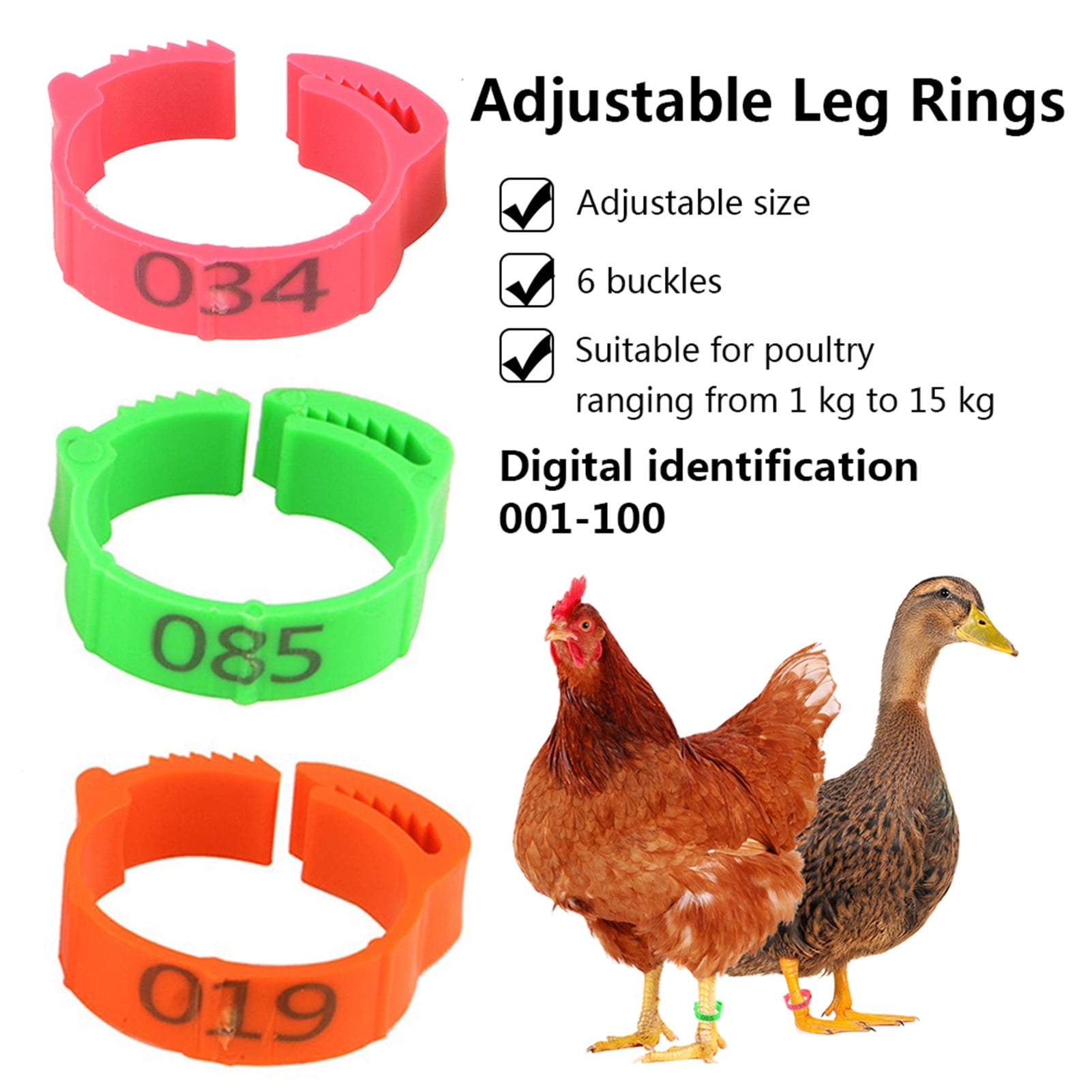 Green Chicken Leg Bands 22mm Chicken Rings 001-100 Numbered 
