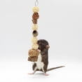 thumbnail image 4 of Exotic Nutrition Treetop Tower Small Pet Chew Toy, 4 of 4