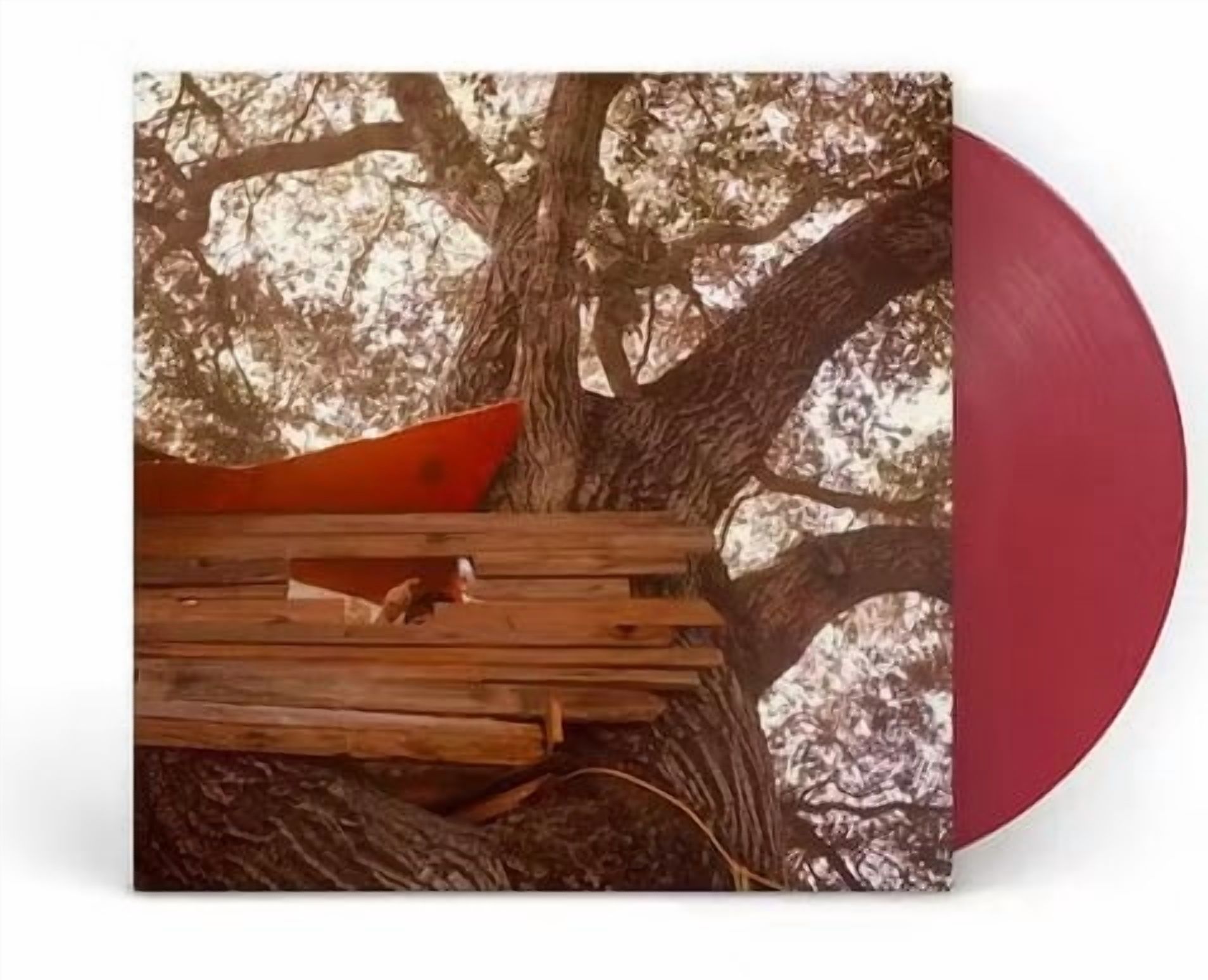 Backseat Lovers - Waiting To Spill (Anniversary Edition) - Music & Performance - Vinyl