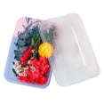 thumbnail image 3 of Material Prensado Material de flores secas - Juego de flores y hojas secas prensadas reales para hacer arte de uñas Sywqhk Libre de BPA, 3 of 9