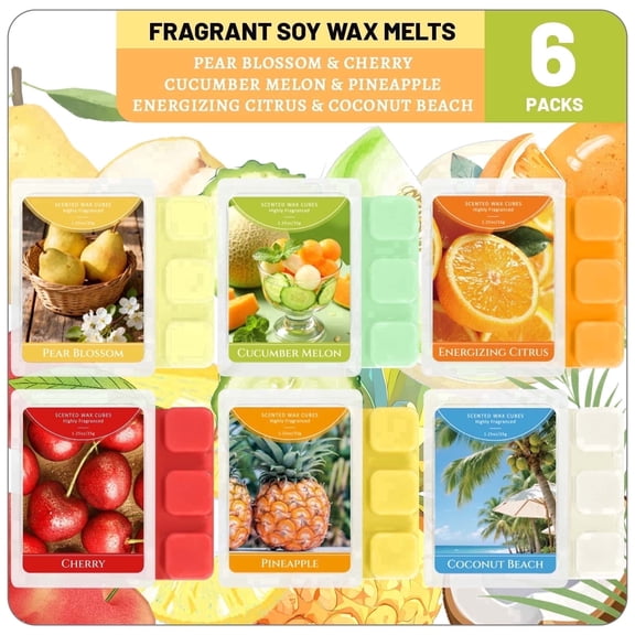 SCENTORINI Summer Wax Melts, 6 Multi-Scent Wax Cubes for Warmer, Essential Fragrance Wax Tarts for Home