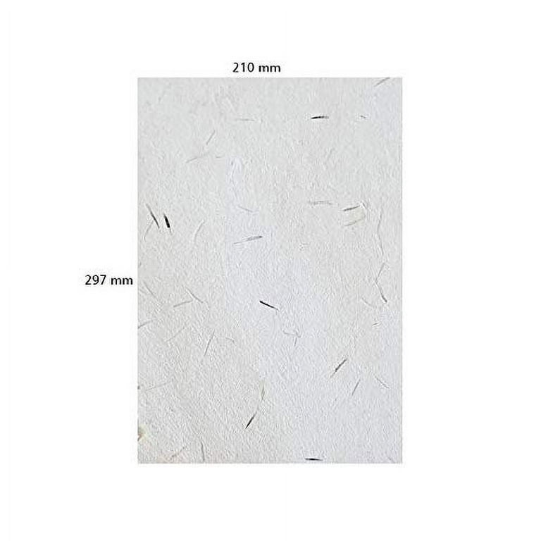 8.5 x 11 White Handmade Paper (No Seeds)