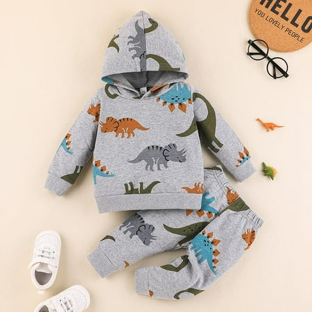 

Qazqa Toddler Boys Girls Long Sleeve Cartoon Dinosaur Prints Hoodie Tops Pants Outfits