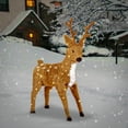 thumbnail image 2 of 36" Standing Reindeer with Clear Lights, 2 of 3