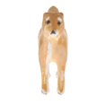 thumbnail image 1 of escenario de personas de figura rm 1:64 de Diorama Resina Perro Muñeca Escenario para Decoración de Rueda de Fuego - Shiba inu amarillo Magideal escenario de personas de figura rm, 1 of 4