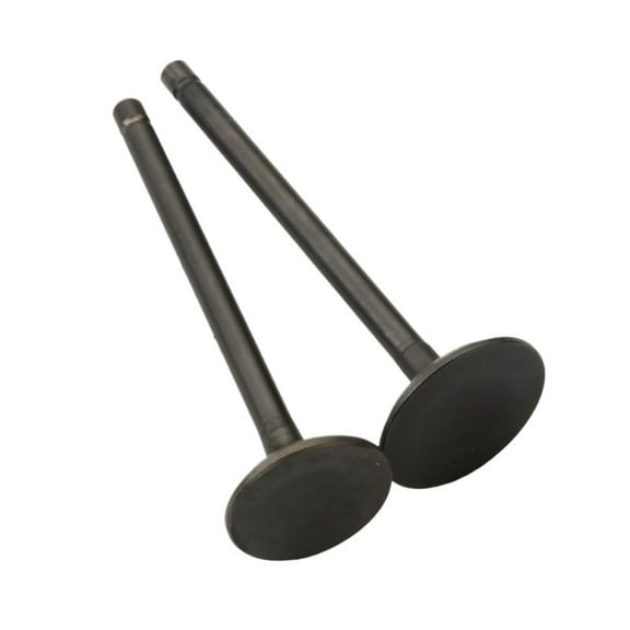 Scooter 2PC AN125 Intake And Exhaust Valves For Suzuki AN 125 Burgman 125 VS125 12912-20E00-00 1291120E0000 4-Stroke