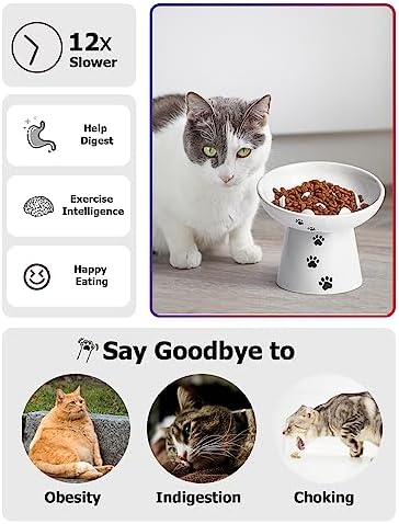 Slow Feeder Cat Bowl, Ceramic Cat Slow Feeder Bowl, 6 Inches, Elevated, Anti Vomiting for Dry and Wet Food, White