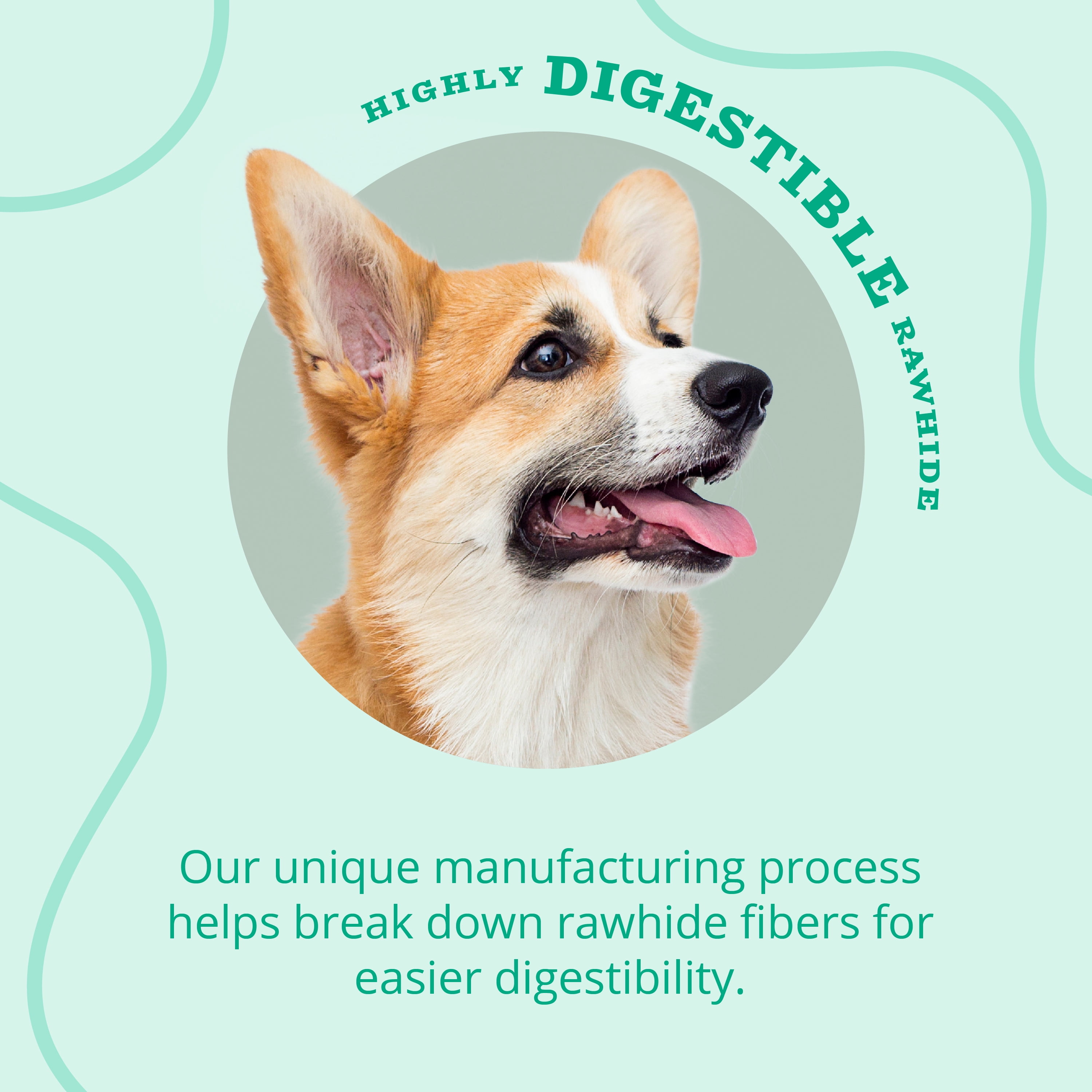 Better Belly Dental Easily Digestible Dog Chews, 10 Count Small Rolls, Fresh Breath Treats