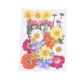 thumbnail image 4 of sweethay Flores prensadas de flores secas, pintura de pared hermosa mezclada múltiple, accesorios de bricolaje, suministros para álbumes de flor amarilla anaranjada 5piezas, 4 of 6
