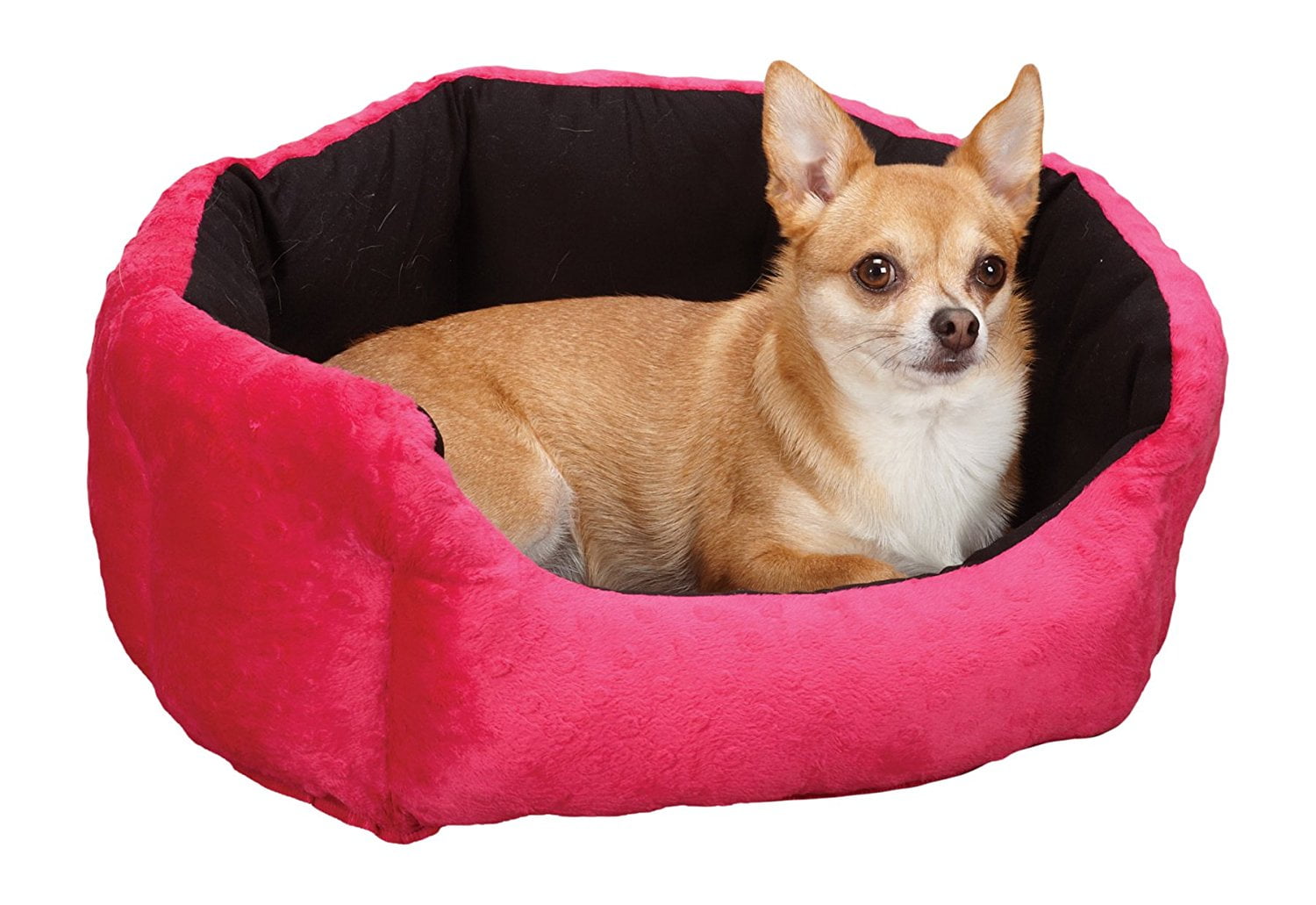 orthopedic slumber ball