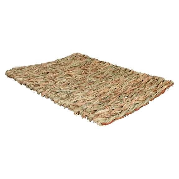 XL Small Animals Boredom Breaker Chill N Chew Mat Rabbit Guinea Pig 30x35cm