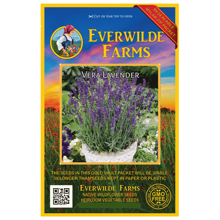 Everwilde Farms - 2000 Vera Lavender Herb Seeds - Gold Vault Jumbo Bulk Seed