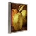 thumbnail image 3 of Stupell Industries Vintage Apples Close Up Food & Beverage Painting Brown Floater Framed Canvas Art Print Wall Art, 18 x 18, 3 of 9