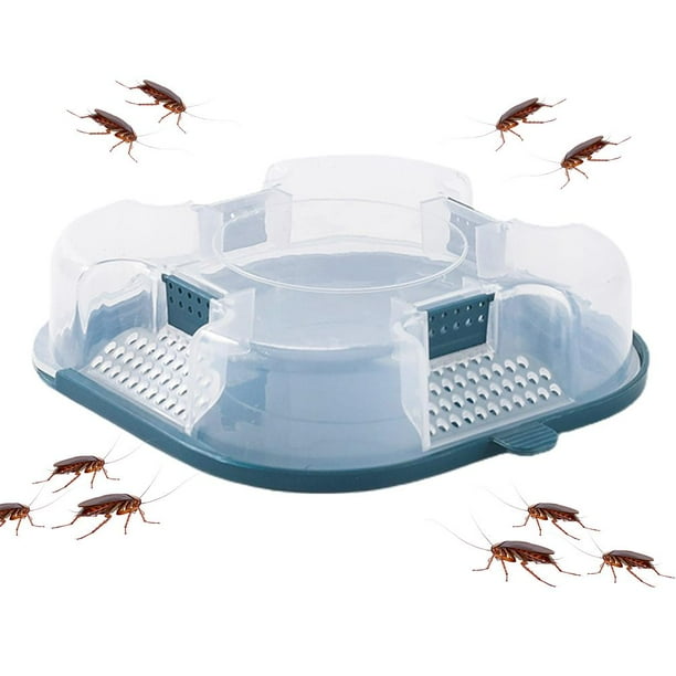 Trampa Para Cucarachas, Control De Plagas, Trampa Para Cucarachas, No Tóxico, Reutilizable, Repelente De Cucarachas, Cebo, Control De Plagas Para Cocina Y Baño ANGGREK Cockroach Trap