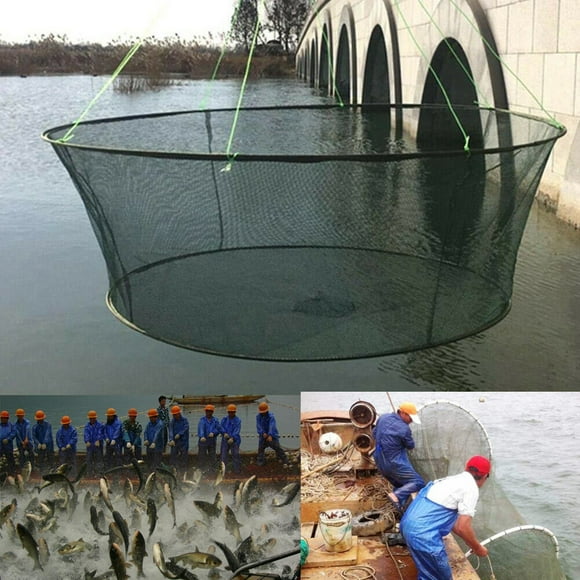 Folding Landing Net for Fishing – Durable Folding Drop Net with Crab Capability for Freshwater and Saltwater Angling
