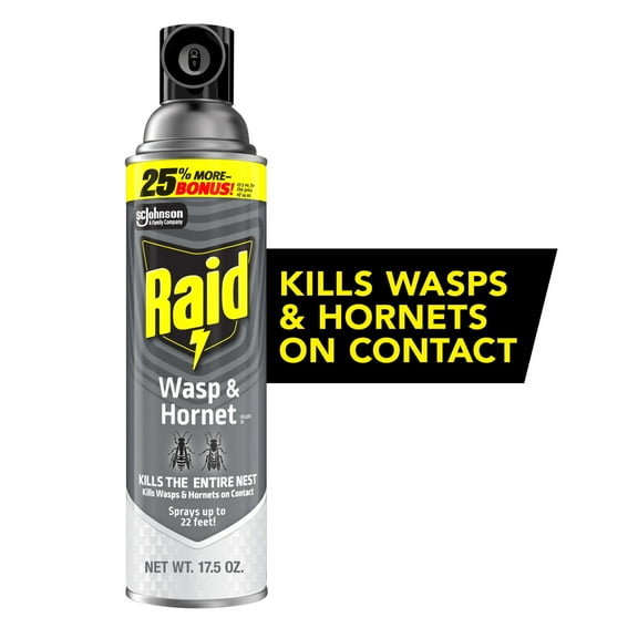 Raid Wasp & Hornet Killer, Outdoor Flying Insect Spray, 17.5 oz