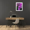 thumbnail image 3 of Grayscale 25x32 White Modern Wood Framed Museum Art Print Titled - Pink Cluster II, 3 of 4