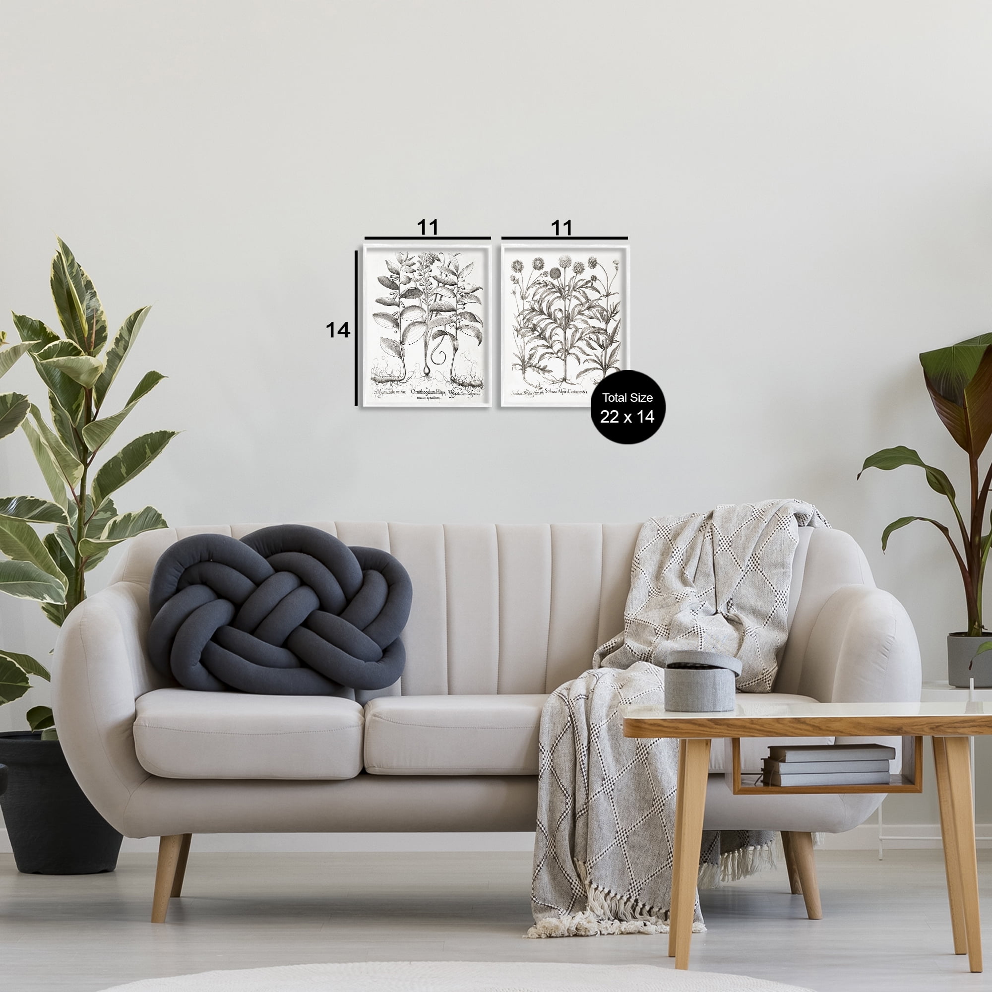 Botanical Root & Plant Studies 2 Piece White Framed Giclee Art Set, design by Lettered and Lined