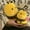 2PCS, variant on 2026 New Bee Plush Toys, Stuffed Animals Toys Bee Soft Pillow Toys, Plush Toy Doll, Adorable Gifts, Hugging Sleeping, Best Birthday Gifts for Holiday Xmas Easter for Friend and Family (Bee, A)