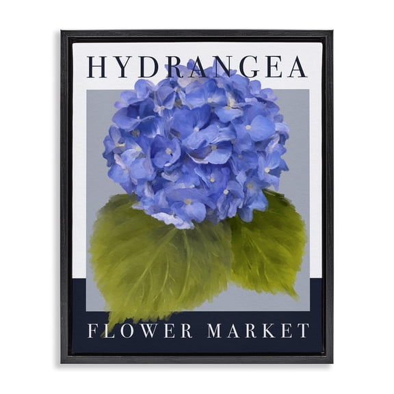 Stupell Industries Contemporary Hydrangea Flower Market Black Floating Frame Canvas Art, 17 x 21, by Jennifer Stith