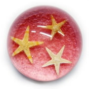 19 Starfish Dome Paperweight Pink