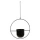 thumbnail image 5 of Maceta colgante de pared para jardín o patio interior/exterior. Negro, 5 of 8
