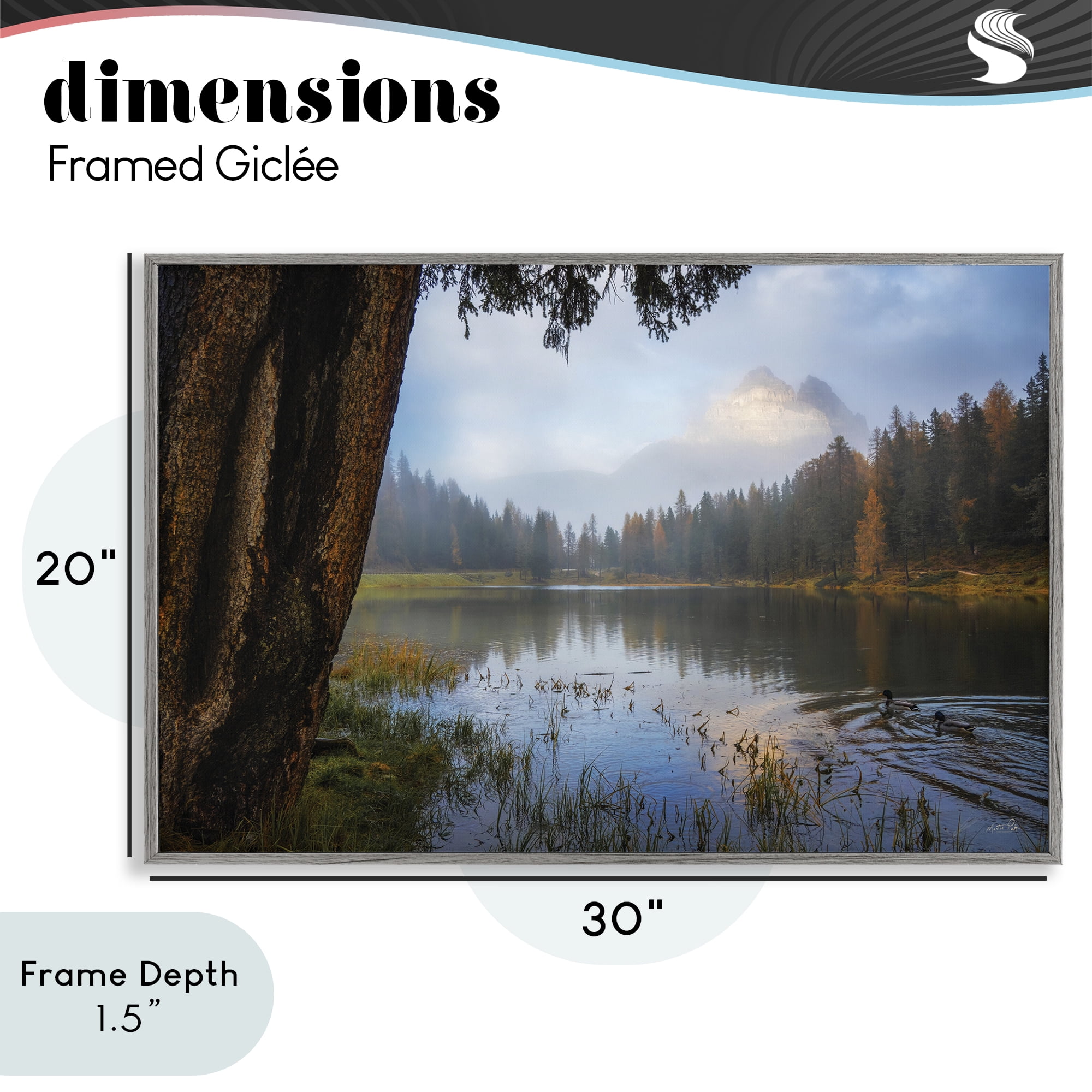 Stupell Industries Autumn Forest Reflections Gray Framed Giclee Art, design by Martin Podt