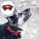 thumbnail image 3 of 1. Collar de perro clásico con patrón de copo de nieve a cuadros, 3 of 5