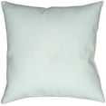 thumbnail image 3 of Surya Seas & Greetings 18" x 18" Medium Square Throw Pillow PHDSG002-1818, 3 of 3
