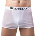 thumbnail image 2 of Lilgiuy Men's Boxer Three Points Shorts Mesh Breathable Panties Winter Clothes for 2022, 2 of 5