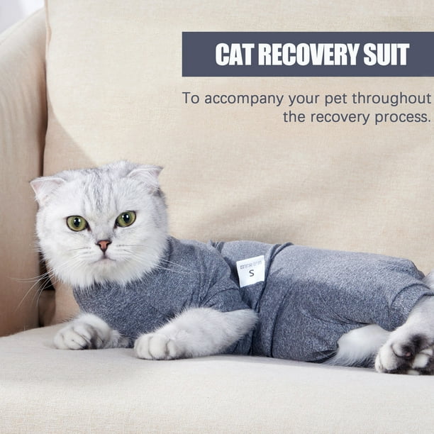 Walmart cat suit best sale jacket