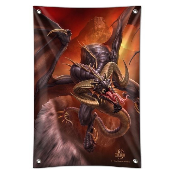Fast Flying Dragon Coming At You Fantasy Home Business Office Sign