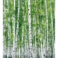 thumbnail image 3 of Ambesonne Birch Tree Duvet Cover Set, Fresh Summer Leaves, 2-Calking, Green White Black, 3 of 7