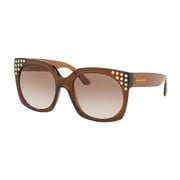 Sunglasses Michael Kors MK 2067 334813 Dark Brown Crystal