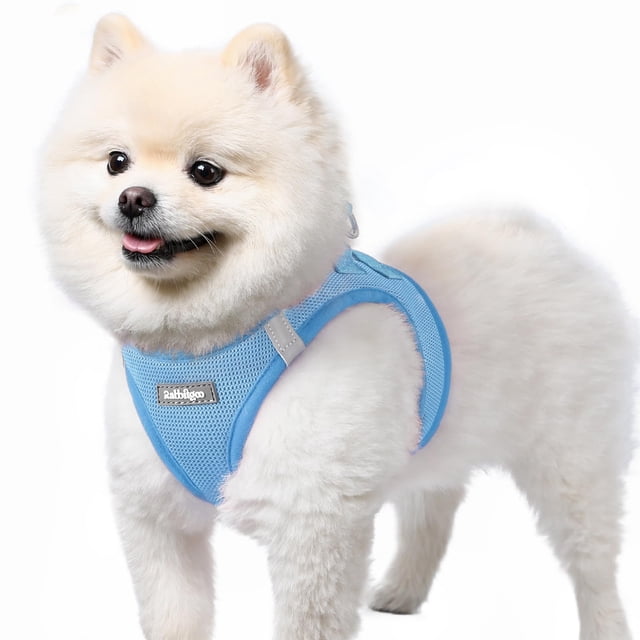 Chaleco Dog Harness Rabbitgoo, pequeño, de malla suave, para cachorros, azul
