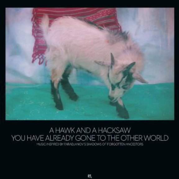 A Hawk and a Hacksaw - You Have Already Gone to the Other World - Alternative - CD