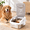 5.0 liters, variant on 304 Stainless Steel Storcontainer With Lid Dog Food Bin