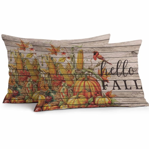 Lumbar Pillow Covers 20x12 Inch Set of 2, Hello Fall Waterproof Outdoor Pillow Covers, Orange Pumpkins Birds Vintage Thanksgiving Decorative Cushion Pillowcases for Couch, Sofa, Bed, Garden, Patio