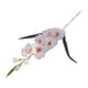 thumbnail image 2 of Adorno de flor de gladiolo artificial, regalo realista, flor artificial para la vida. champán, 2 of 9