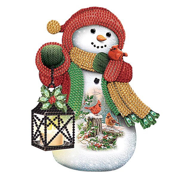 Pintura de diamante 5D DIY Taladro parcial con forma especial Muñeco de nieve de Navidad 30x30cm