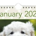 thumbnail image 4 of 2025 AT-A-GLANCE® Puppies Monthly Wall Calendar, 15-1/2" x 22-3/4", Animals, January 2025 To December 2025, DMW16728, 4 of 6