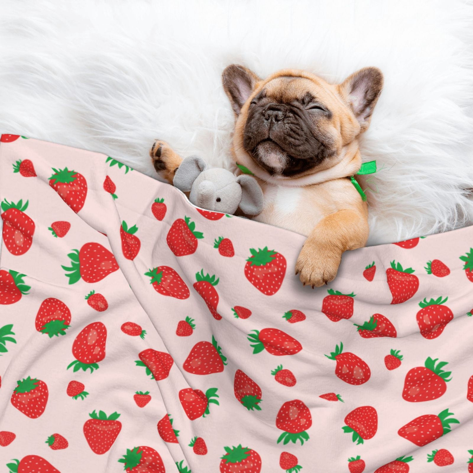Naloa Strawberries Dog Blanket, 3 Sizes Cat Blanket for Indoor Cats Large Medium Small Dog Gifts-Medium