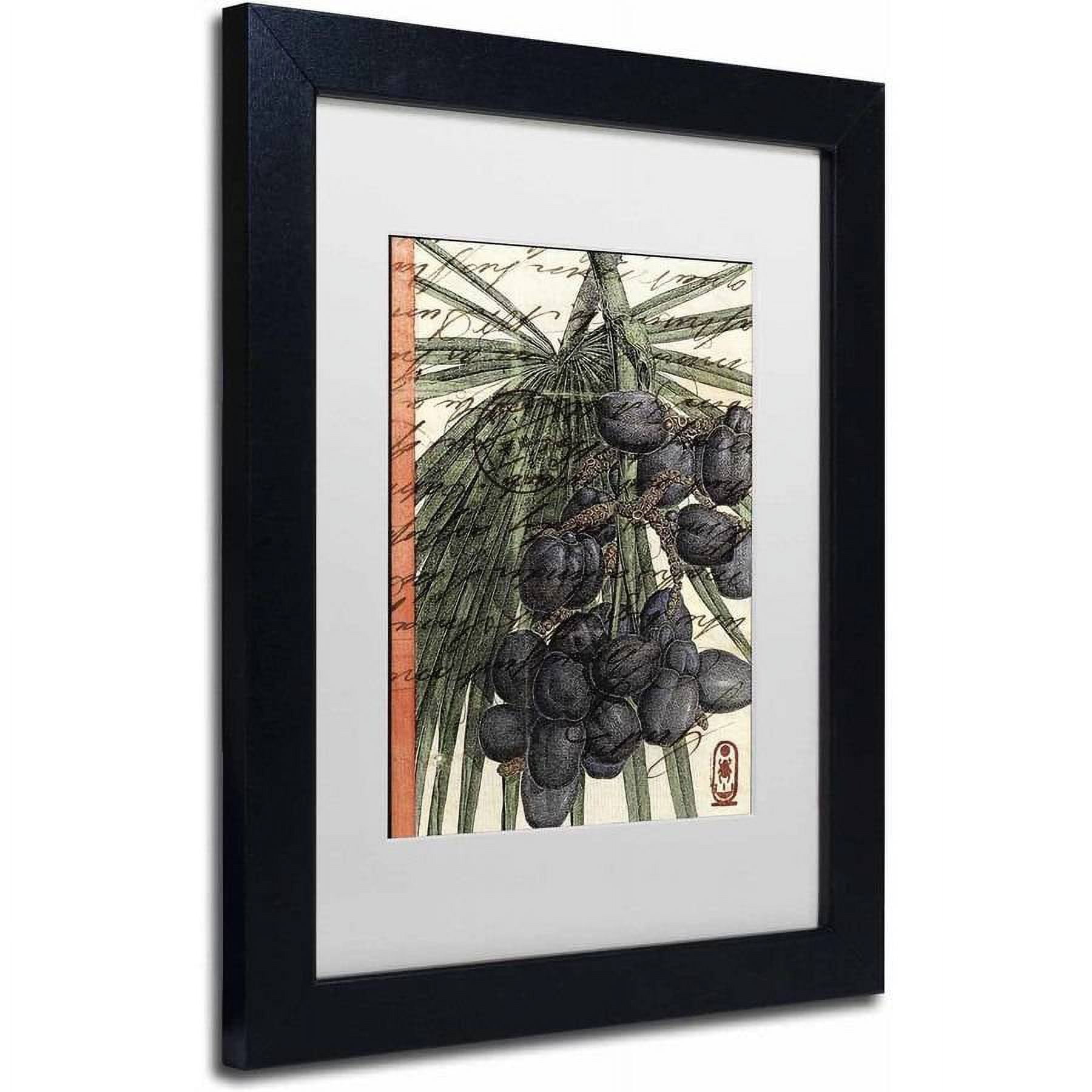 Trademark Fine Art 'Plums' Canvas Art by Nick Bantock, White Matte, Black Frame