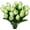 Light Green, variant on Artificial Tulips Flowers,20 Pcs 13.5" Artificial Latex Tulips Flowers for Home Room Office Party Wedding Decoration(Dark Pink)