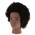 thumbnail image 1 of Cabeza de Maniquí de Tinte Zulema Afro de Cosmetología Headstyle Manikin Head, 1 of 6