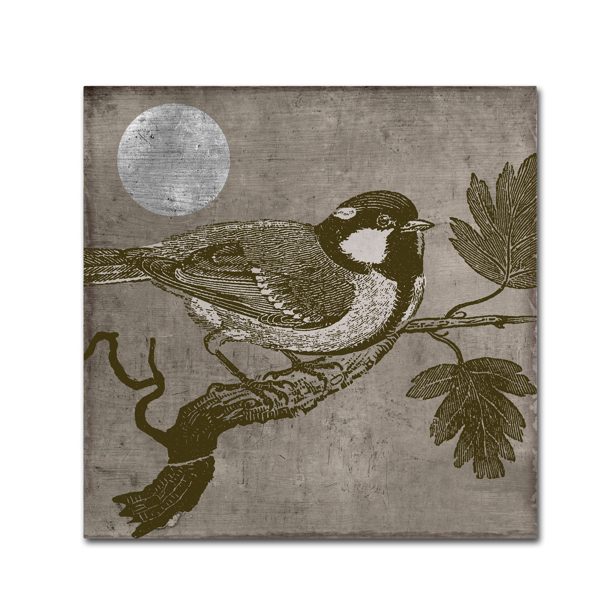 Trademark Fine Art "Moon Bird" Canvas Art by Color Bakery
